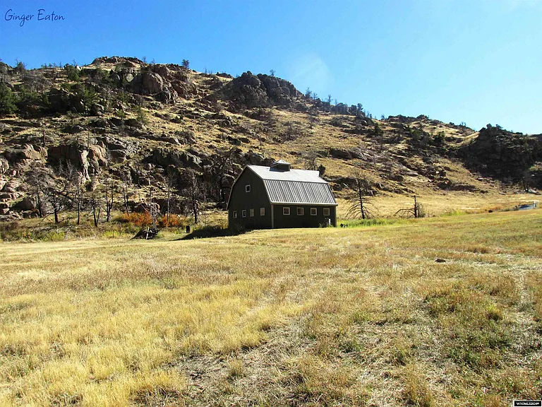 Charming 11-Acre Property with Live Water in the Pedro Mountains! $187.000