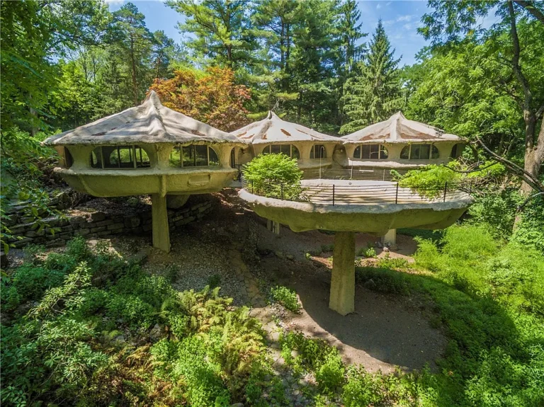 Live Inside an Architectural Legend: The Iconic Mushroom House Available for Rent in Pittsford, New York